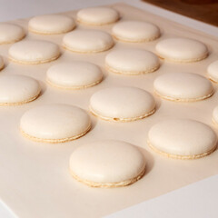 Fresh macaroons on parchment from the oven.