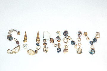 Lettering Sunny of small marine colorful light seashells of different shapes on white background. Snail shells, spiral shells. Design template. Concept