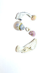 Letter S of small marine colorful light seashells of different shapes on white background. Design template. Summer Concept