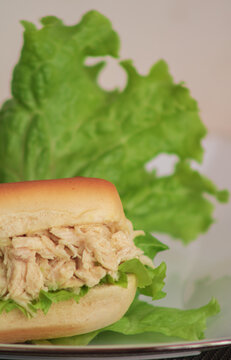Close up de un panecillo relleno de pollo y lechuga con una lechuga en el fondo
