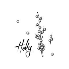Fototapeta na wymiar Christmas decoration element. Holly brunch with berries isolated on white background. Vector illustration in sketch style