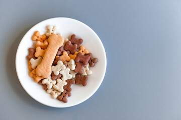Food for pets such as dogs and cats in a white saucer on a blue background with a place for text. Delicacy close-up. Concept for advertising pet food