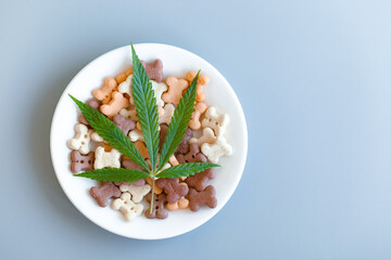 Pet food containing CBD cannabis, blue background, copy space for text. CBD and medical marijuana concept for pets