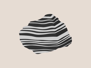 Paragneiss specimen illustration. Metamorphic rock sample.