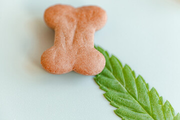 Pet food containing CBD cannabis close-up, blue background, the place for text. Pet food advertising concept