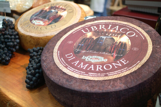 Turin, Piedmont, Italy. -10/22/2010- The food fair "Salone del Gusto". Ubriaco di Amarone cheese.
