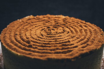 Fototapeta na wymiar Tiramisu cake detail with grated chocolate on top.