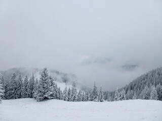 Fototapeta premium Winter mountain tour to Seekarkreuz mountain, Bavaria, Germany