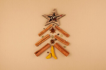 Alternative Christmas tree. Set of spicy spices for making Indian Masala tea (Masala chai), golden...