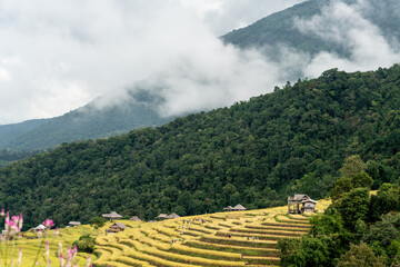 Agriculture in Northern Thailand
