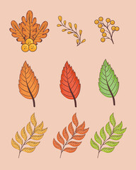 happy thanksgiving celebration card with bundle set leafs vector illustration design