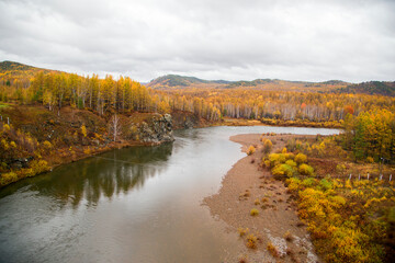  The river flows through the autumn forest. Horizontally.