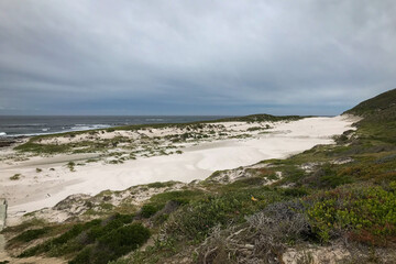 Fototapeta na wymiar Scenic view of Platboom beach, Cape of Good Hope, South Africa.