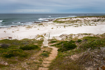 Scenic view of Platboom beach, Cape of Good Hope, South Africa.