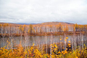  The river flows through the autumn forest. Horizontally.