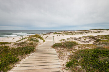 Fototapeta na wymiar Scenic view of Platboom beach, Cape of Good Hope, South Africa.