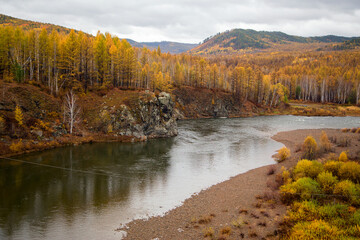  The river flows through the autumn forest. Horizontally.