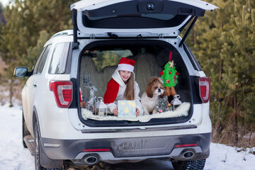 Cute girl is getting ready for Christmas, girl with shih tzu dog girl with a dog sitting in a decorated New Year's car in forest.