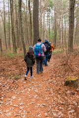 A family hiking through a forest along a path taken from behind so no faces are shown.