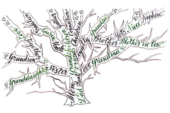 Family tree, hand drawn  calligraphy