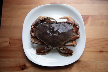 Directly Above View of a Dungeness crab in plate on wooden table in Vancouver, BC, Canada