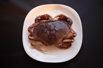 Directly Above View of a Dungeness crab in plate with black background in Vancouver, BC, Canada