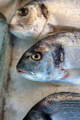 Fresh fish on ice. Sale at farmers market, fresh fish in supermarket. Open showcases of the seafood market.
