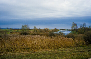 Obraz premium Roseliere, Parc naturel régional, Lac du Der, 51, 52