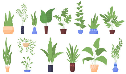 Naklejka na ściany i meble Houseplants. Flowerpots. isolated vector illustration