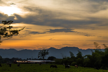 atardecer 2