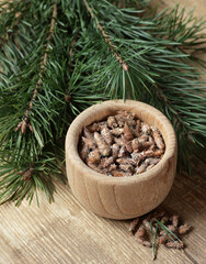 Pine buds herbal vitamin tea in a glass cup with needles and buds nearby on rustic wood, closeup, copy space, herbal vitamin drinks and naturopathy concept