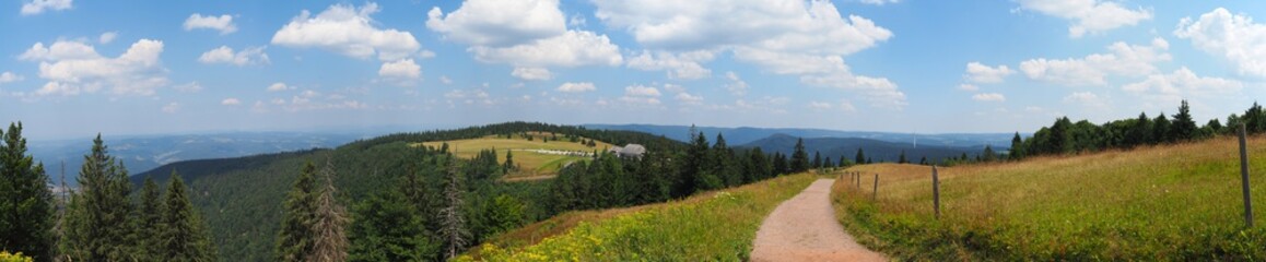 Fototapeta na wymiar Black forest - Panorama from mountain Kandel