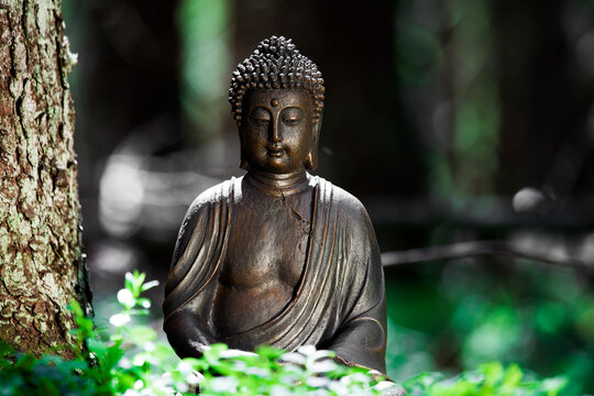 Buddha in the  forest