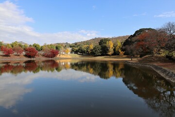 Fototapeta na wymiar 奈良公園の紅葉