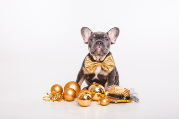 French bulldog puppy in a gentleman's carnival butterfly with Christmas tree toys isolated on a white background, new year