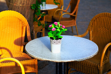 Fototapeta na wymiar Flower pot on the table . Comfortable terrace with stylish chairs 
