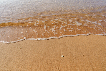 Beautiful soft clear water ocean wave on clean beach or yellow sand and small shells.