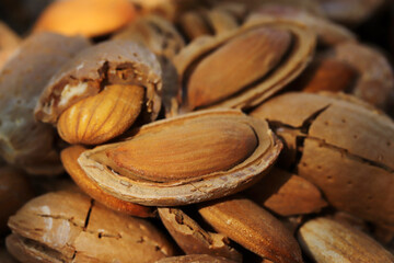 almond harvest time - broken almonds