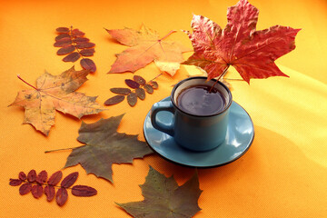 Red maple leaf in a Cup of hot tea on a yellow background with scattered multicolored leaves, side view, space for text