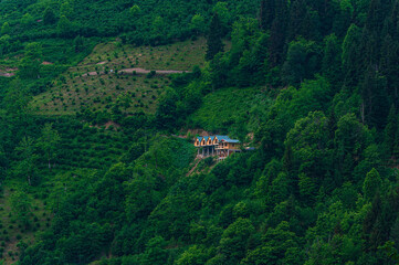 Wooden hut in the middle of nature