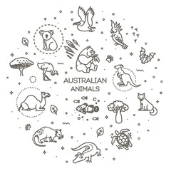 Obraz premium Vector. Set of linear vector australian animals