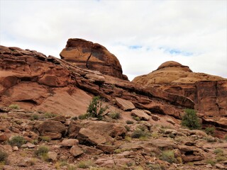red rocks in the desert at Canyonland National Park