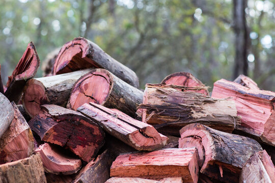 Split jarrah logs for firewood