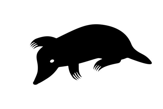 Mole silhouette icon. Clipart image isolated on white background.