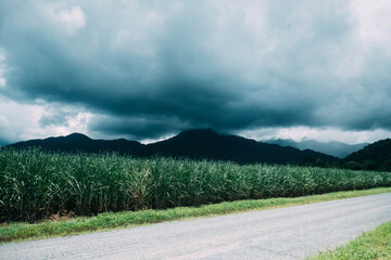 Heavy cloud over dark mountains behind crop paddock