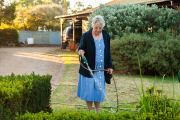 Pensioner woman watering her front garden on a summer evening