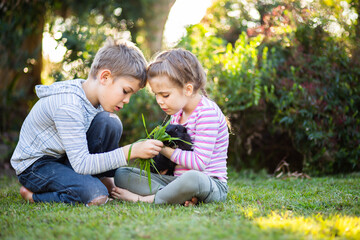 Siblings a boy and girl playing in garden outside with pet bunny rabbit