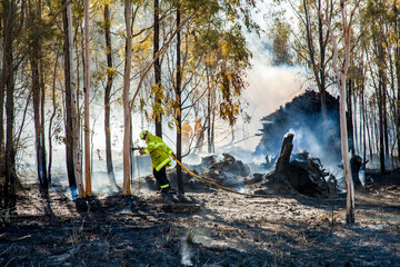 Firefighters fighting bush fire with hose among trees and smoke