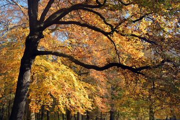 volkspark jungfernheide