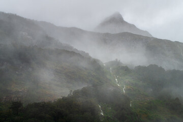 Fog above the hills of rain forest near Milford Sound, South Island, New Zealand.